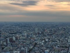 -东京都厅舍