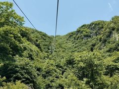 -牛背梁国家森林公园