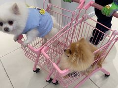 -怪兽屋·羊驼·猫咖·狗咖(俊华广场店)