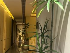 -象泰SPA·泰式按摩·足疗(卓悦中心店)