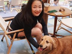 -春风习习