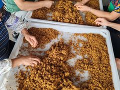 -苏州市吴中区光福窑上花果蜜饯厂