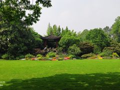 -西湖外事游船(花港观鱼码头)