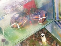 -四海鲜渔家菜(黄金海岸店)