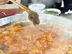 -储奇门鳝鱼火锅(总店)