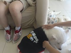 -怪兽屋·羊驼·猫咖·狗咖(俊华广场店)