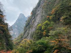 -青峰峡国家森林公园