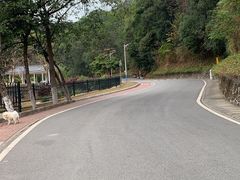 -火炉山森林公园