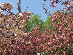 -白马涧龙池景区