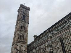 -圣母百花大教堂穹顶