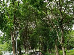 -东莞植物园