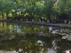 -丽江文化旅游学院