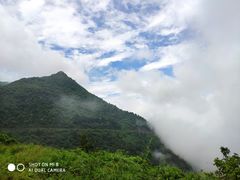-武陵山森林公园