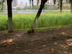 -长白岛森林公园