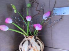 -大拙里·精致融合菜(沙湖桃源国际店)