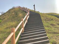 -天龙顶山地公园