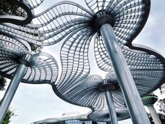 -广州市白云山风景名胜区