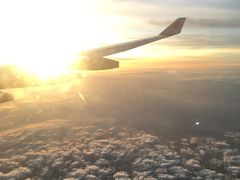 -狮头牌卤味研究所·卤味饭(花城汇南区店)