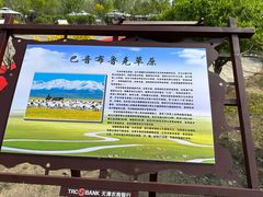 -西青郊野公园