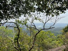 -阳台山森林公园