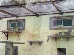 -青藏高原野生动物园