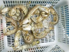 皮皮虾-海滨假日渔家海鲜