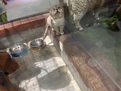 -顺德南宏海立方海洋公园