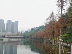 -重庆彩云湖湿地公园