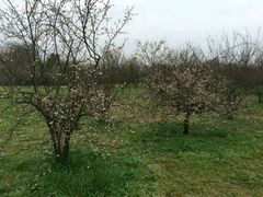 android_upload_pic-蜀冈西峰生态公园