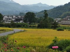 -塔川景区