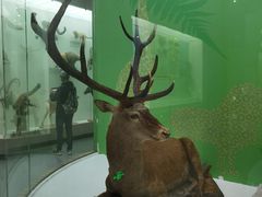 -国家自然博物馆