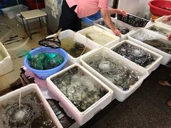 -浦商菜市场·锦德店