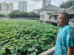 -荔湾湖公园