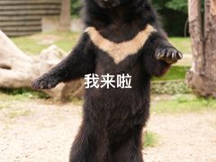 -常州淹城野生动物世界