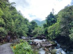 -广州白江湖森林公园