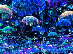 -天津梵高星空艺术馆(天河城旗舰店)