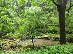-句容茅山景区