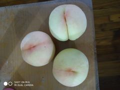 -南汇新场正宗水蜜桃采摘