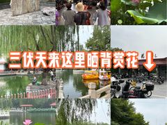 -丰台花园