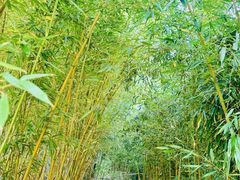 -郑庄脂渣海鲜楼(九水路店)