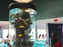 -瑞普利水族馆