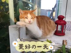 -小时光咖啡馆(北锣鼓巷店)