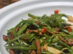 -鸽子窝(青塔店)