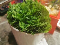 -禄婶鸡煲·打边炉