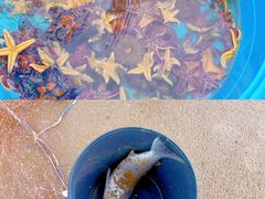 -前王院•巧克力海鲜市集餐厅(万平口店)