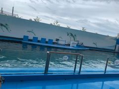 -秦皇岛新澳海底世界