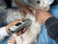 -达爱动物医院·犬猫分区·CT·复杂眼科(远洋山水分院)