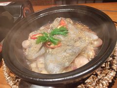 -人间酒暖·Go blanc·烧鸟·深夜食堂(陆家嘴店)