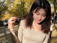 -三里屯东五街银杏大道