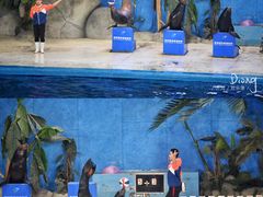 -泉城欧乐堡海洋极地世界